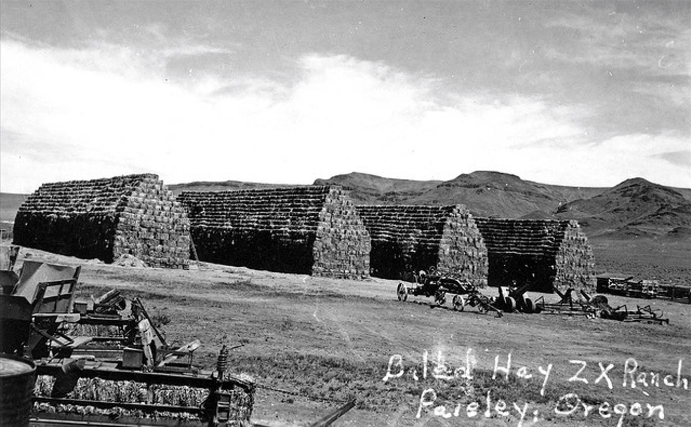 one-of-largest-ranches-in-the-country-a-r-bowman-museum